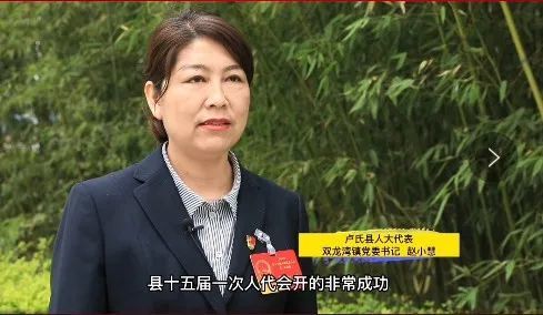 县人大代表,双龙湾镇党委书记赵小慧"县十五届人大一次会议开得非常