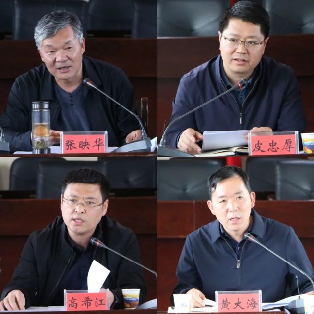 县委副书记,县长张津华率队赴转龙镇调研"东翼 增长极发展和安全生产