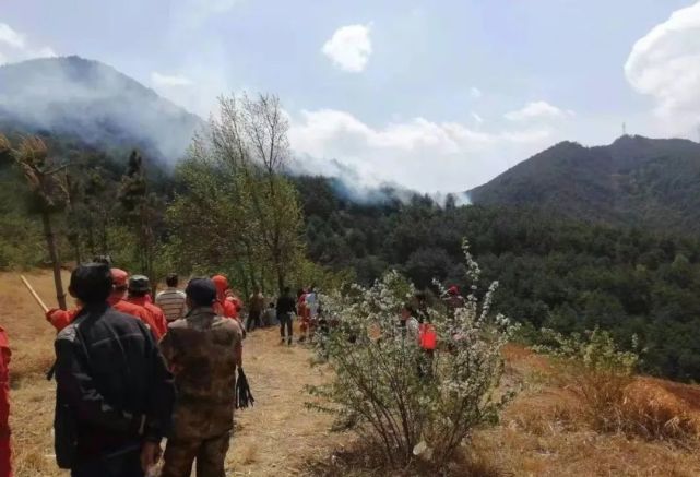 会泽迤车的这场山火,损失达1300多万元,造成一死一伤,被判刑5年零6个