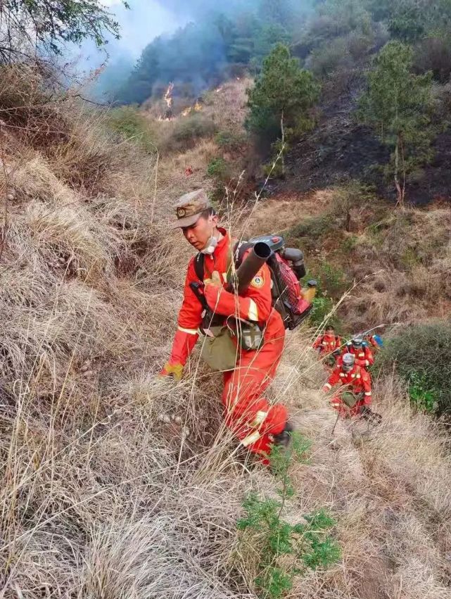会泽迤车的这场山火,损失达1300多万元,造成一死一伤,被判刑5年零6个