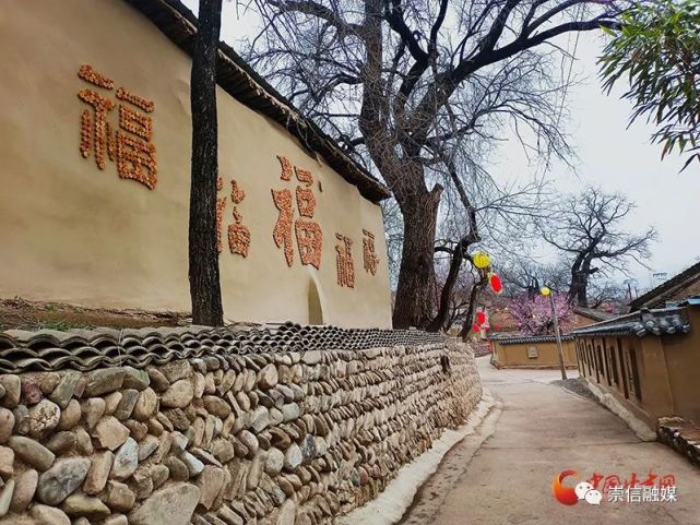 崇信:石头村的蝶变花开|石头村|赵湾村|贫困村|乡村旅游|古槐