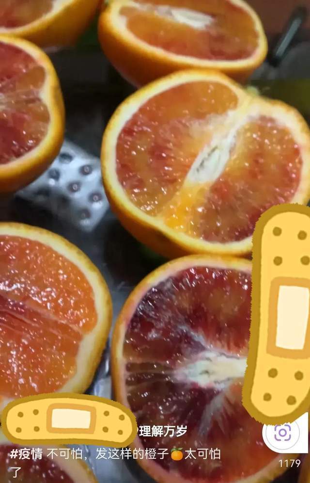 收到重庆的血橙吐槽橙子是烂的,把坏水果捐给上海,视频一经发到网上