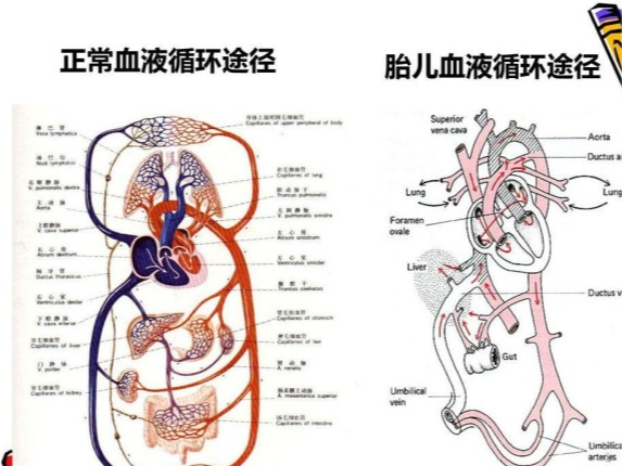 为什么不能乱抠?终于搞明白了