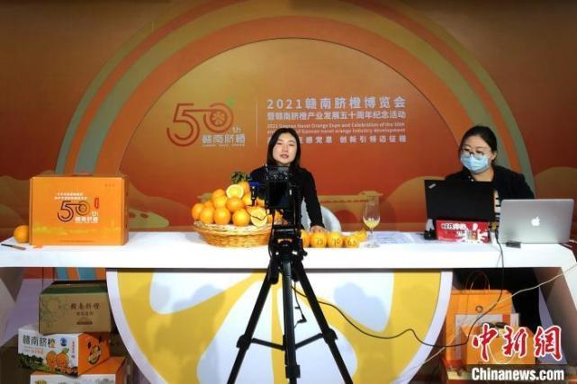 赣南脐橙网图片4