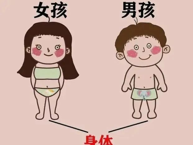 丨桐屿小学郑超老师:如何帮助孩子有正确的"性别意识"及自我保护_腾讯