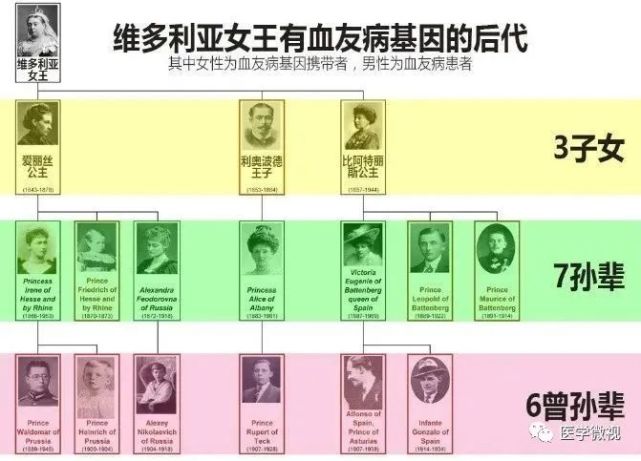 病基因的携带者,有1位王子患有血友病,并且又将血友病遗传给了后代