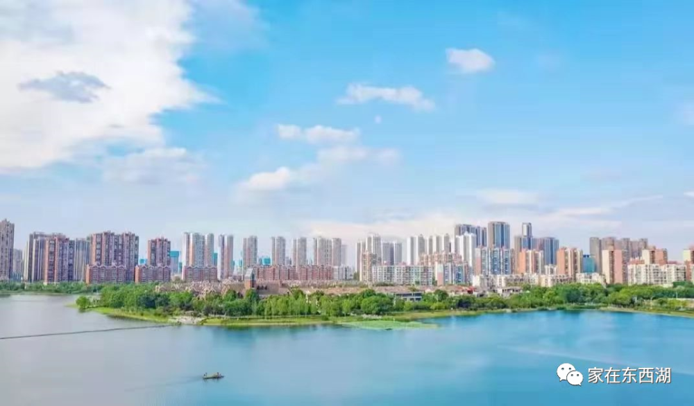2022年4月东西湖区湖泊水质评价结果