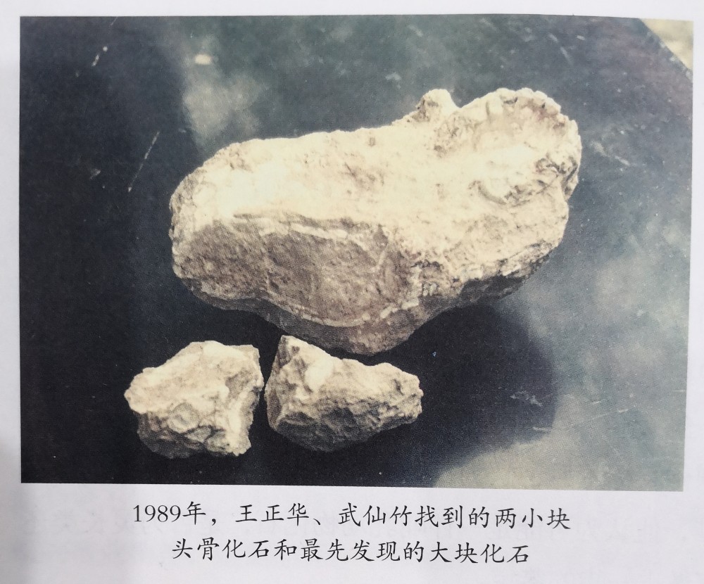 国宝探秘郧县人头骨钙质结核被碎成三块还好被找到