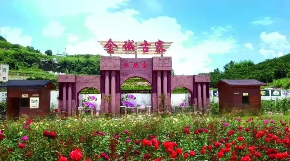 梁平金城古寨千亩玫瑰花海美若仙境即将怒放门票免费送热气球免费体验