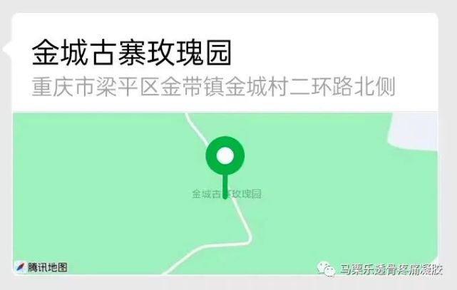 梁平金城古寨千亩玫瑰花海美若仙境,即将怒放!门票免费送!