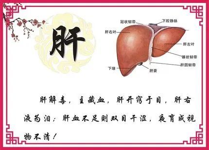 如何眼部排毒_眼部排毒_做眼部排毒时好痛