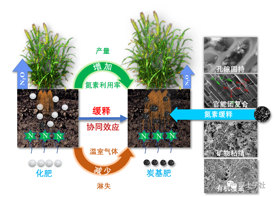 农业资源与生态环境研究所的最新研究进展安全低碳绿色农业中的炭基肥