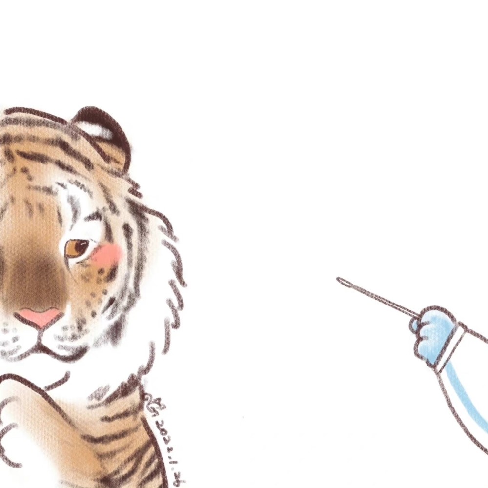 猫咪头像看小猫咪做核酸啊