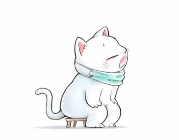 猫咪头像看小猫咪做核酸啊