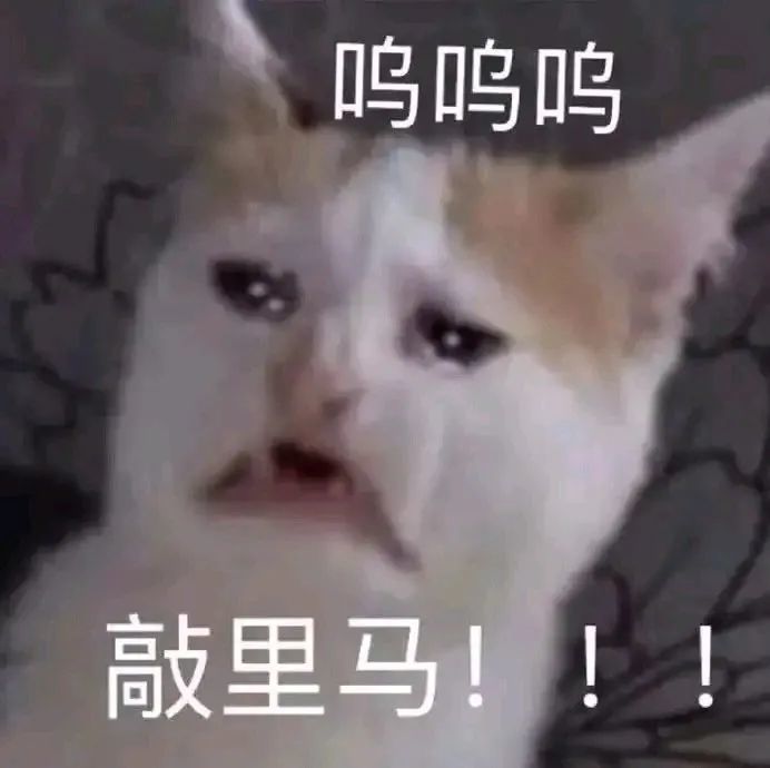 表情沙雕表情包