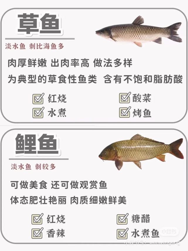 各种常见鱼的区别和做法!