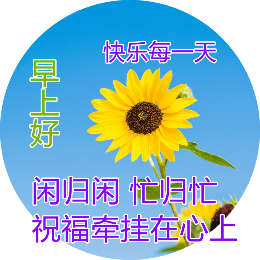 星期三最棒最赞的早上好问候语动态表情图片早上好微信问候祝福图片带
