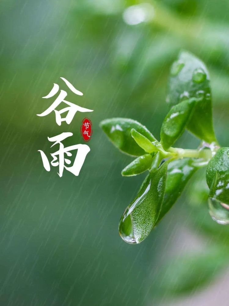 2022年4月20日清晨谷雨问候祝福语日常早晨好问候美图