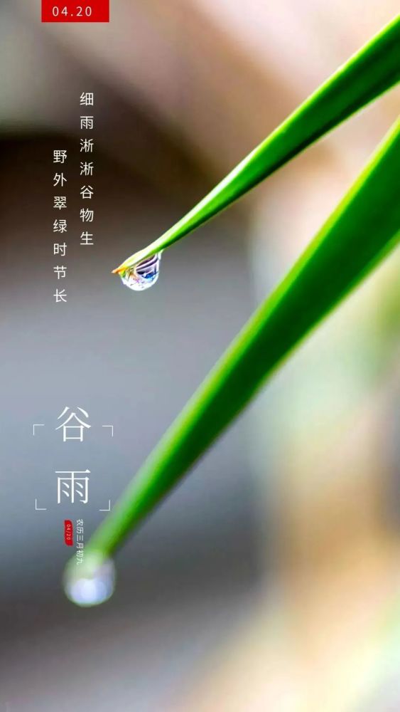 谷雨图片配图高清唯美带字谷雨朋友圈文案祝福问候语句子
