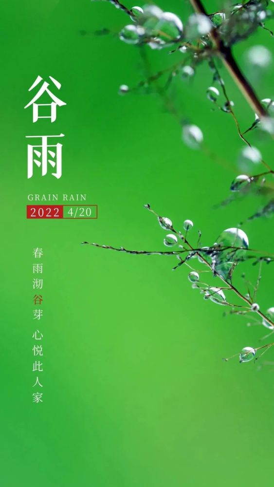 谷雨图片配图高清唯美带字谷雨朋友圈文案祝福问候语句子
