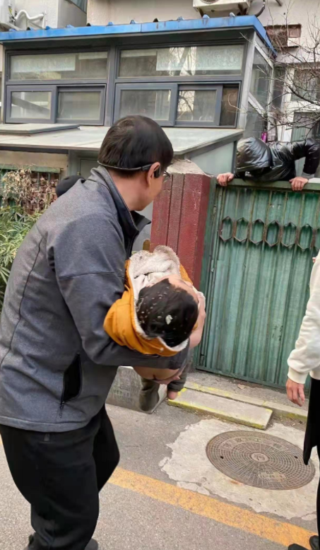 北京一男童14楼坠下奇迹生还 家长后怕 别留孩子独自在家