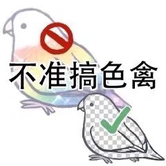 表情包一些鸟图第十五期