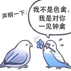 表情包一些鸟图第十五期