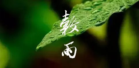 谷雨|书法的生日