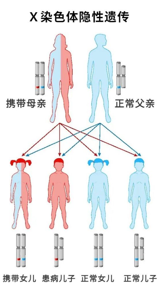 全家没有遗传病为什么生出遗传病宝宝