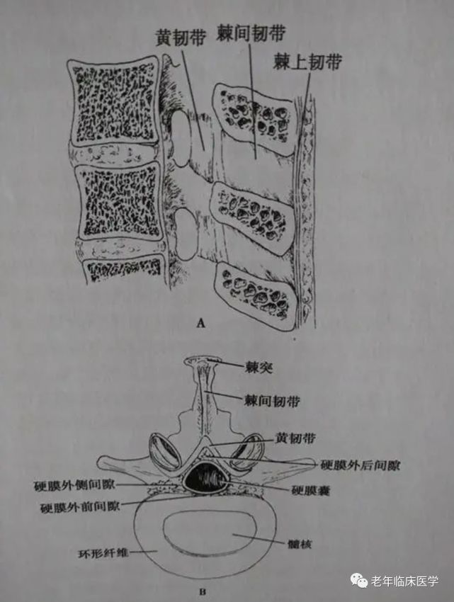 穿刺部位一般取3～4腰椎间隙,两侧髂脊连线的脊棘线为第3腰椎间隙.