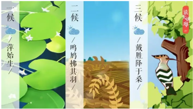 一候萍始生;二候呜鸠拂其羽;三候为戴任降于桑.
