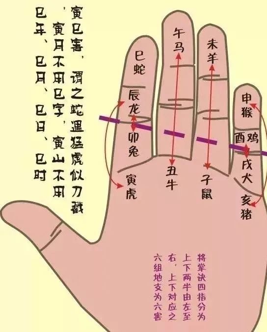 地支六破掌诀图示地支相刑掌诀图示排山掌诀图示翻卦掌诀图示后天八卦