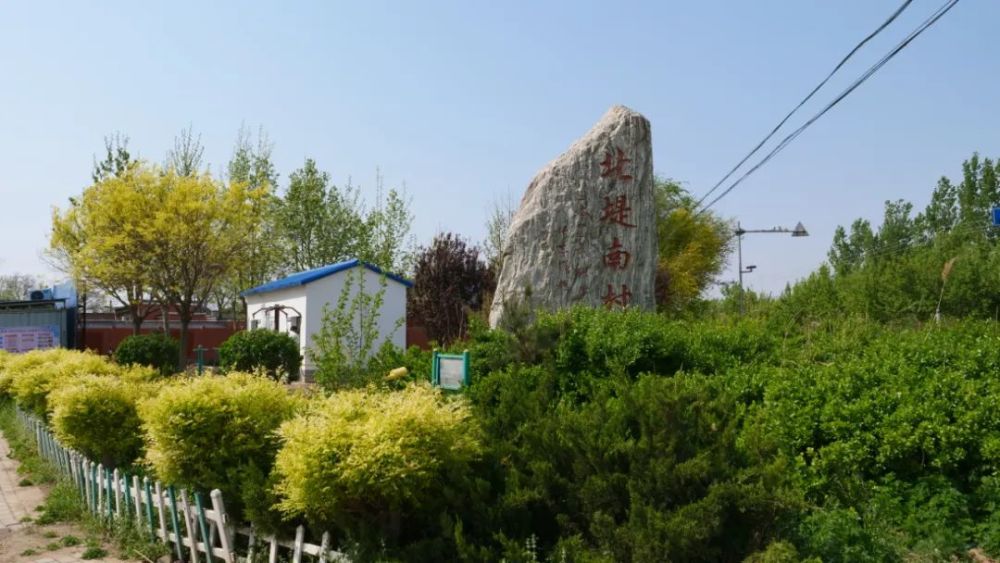 武强县组织开展农村人居环境整治和美丽乡村建设观摩拉练活动