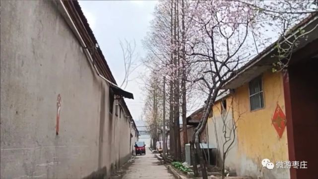 朱子埠村有看似普普通通,但是却有两个非常特殊的地方