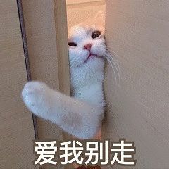 表情包丨燕子不要离开我爱我别走