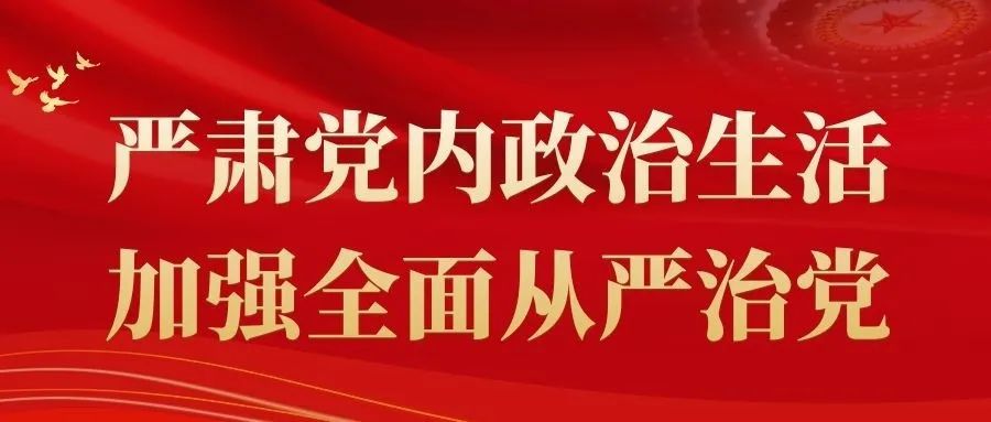 公司机关党委带头落实党内政治生活庸俗化交易化集中治理工作