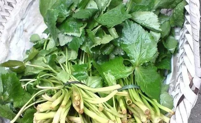 春季著名野菜大全