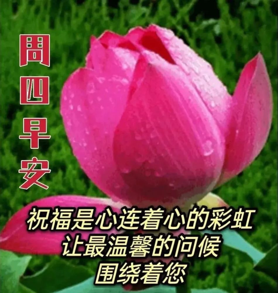 4月28日漂亮早上好动图片表情图早上好问候语图片大全简短带字