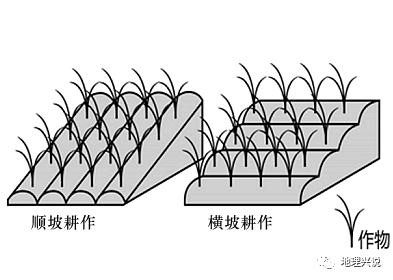 高考地理小专题横坡种植顺坡种植