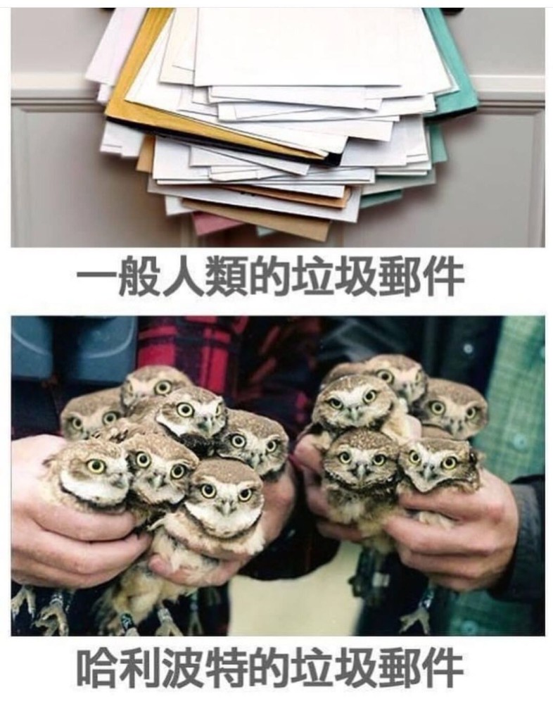 吊图搞笑图片