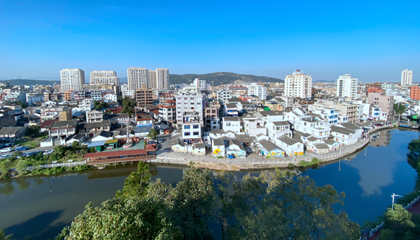 柳市镇黄华村乐清市农业农村局供图清江镇北塘村乐清市焦芳琪 摄东屏