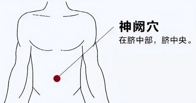 肚脐人体连通内外的接口,容易漏阳气,也擅长升阳气!
