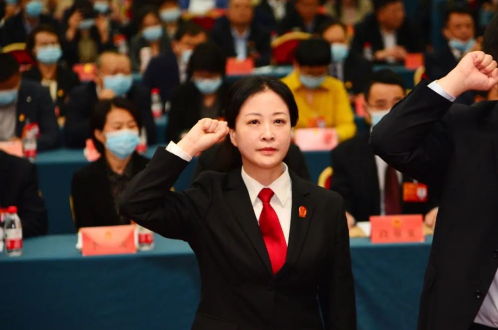 聚焦两会李凌燕同志全票当选华龙区人民法院院长
