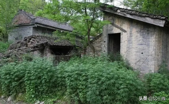 陕西秦岭一条小山沟神秘067基地厕所里诞生航空发动机