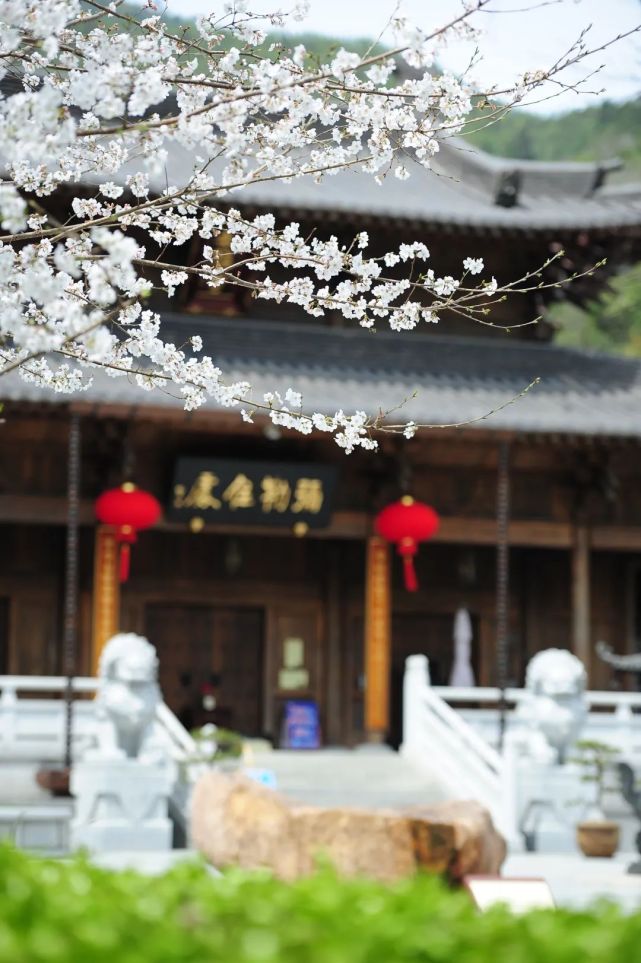 摄何福林 摄湖州长兴寿圣寺黎子 摄黎子 摄朱海旭摄湖州长兴显圣寺