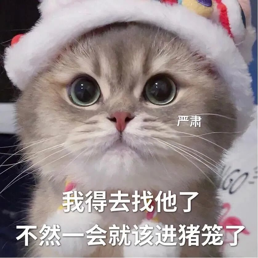 表情包我家猪丢了