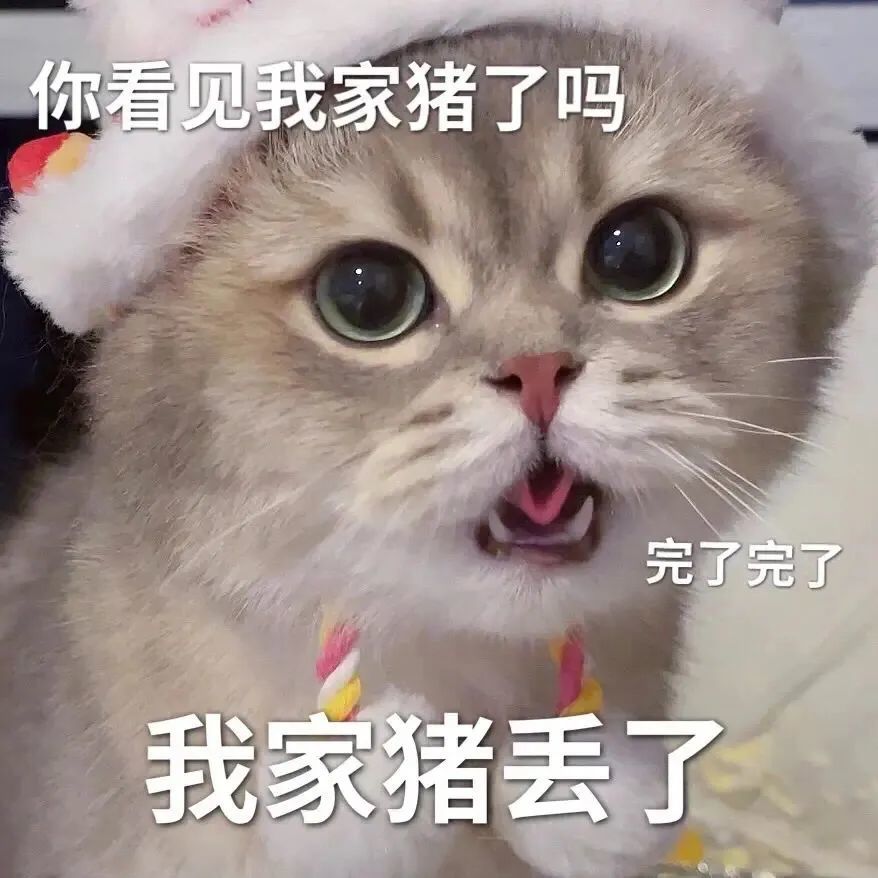 表情包我家猪丢了