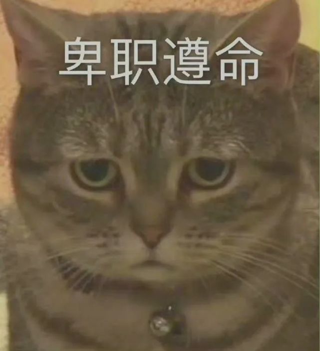 表情包不辛苦命苦