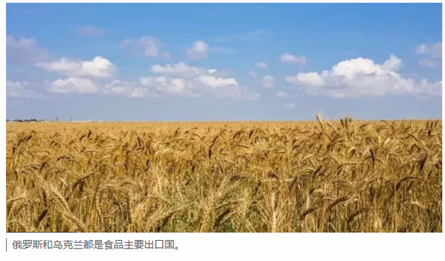 俄罗斯出口木材状况_俄罗斯小麦_俄罗斯小麦堆积如山难出口