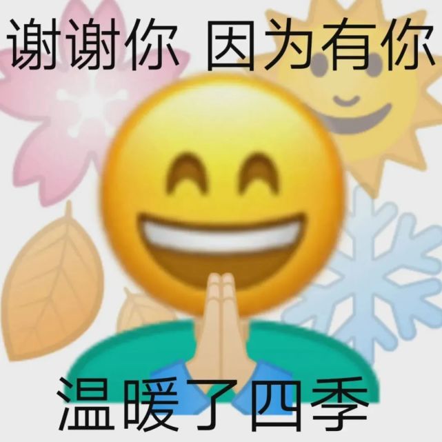 表情包谢谢你因为有你温暖了四季
